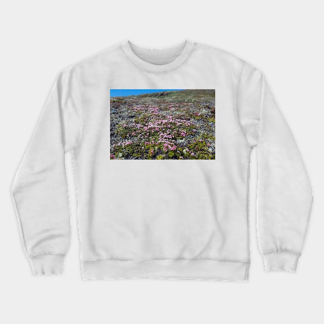 Petite Flowers of the Tundra Crewneck Sweatshirt by andykazie